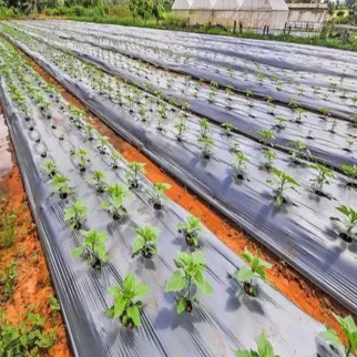 Scientific utilization and recycling of agricultural film opens up new models Scientific utilization and recycling of agricultural film opens up new models