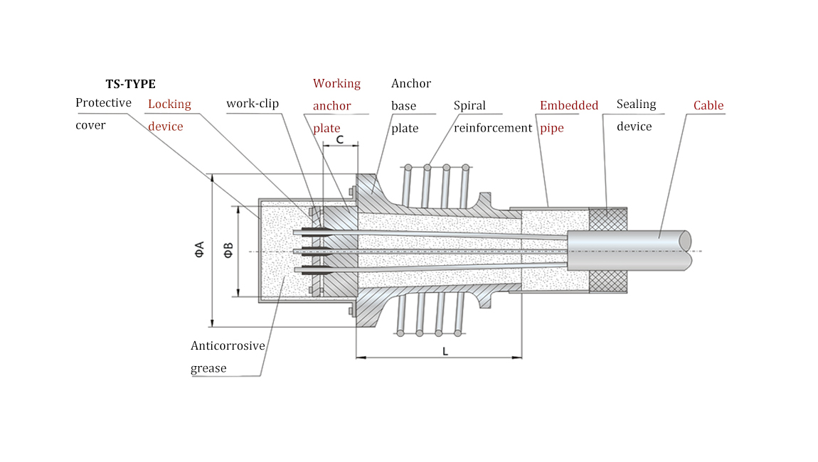 Structures of External Prestressed Cable Bridge Structures of External Prestressed Cable Bridge