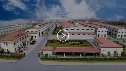 Polymer Material Decor Film