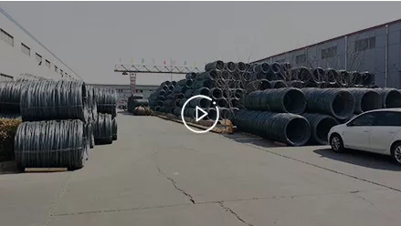 Polymer Material Degradable Rate