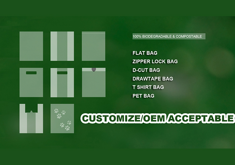 Biodegradable Food Bag