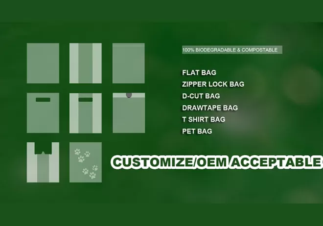 Biodegradable Food Bag