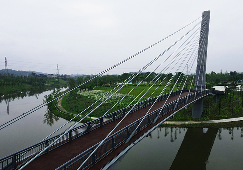 Cable-Stayed Bridge System