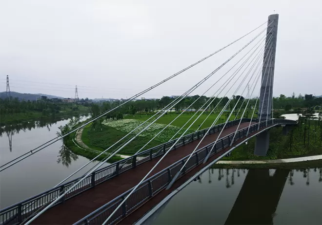 Cable-Stayed Bridge System