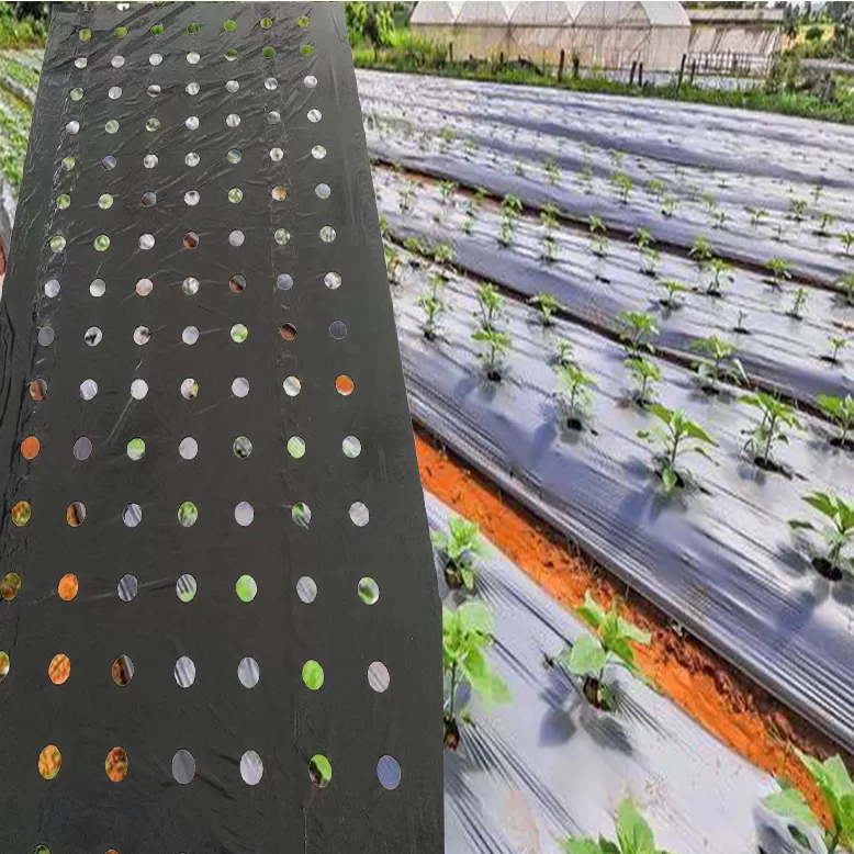 Agriculture Mulching Film