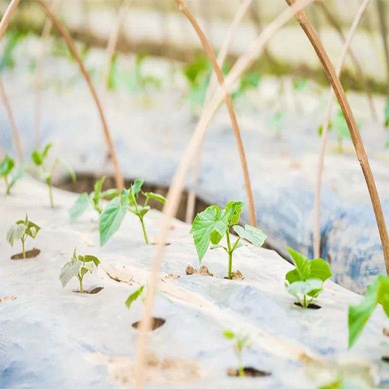 Agriculture Mulching Film