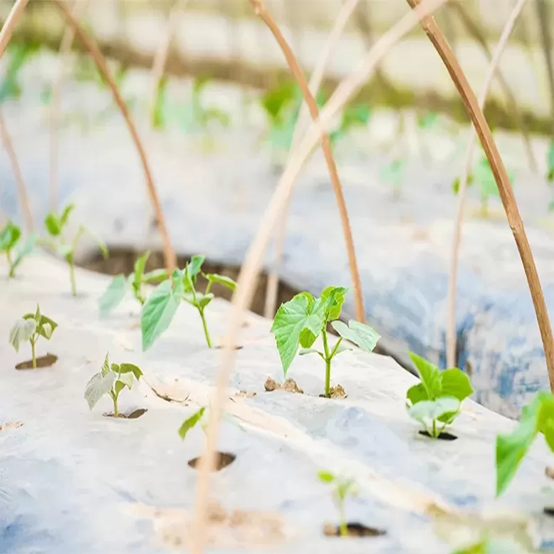 Agriculture Mulching Film