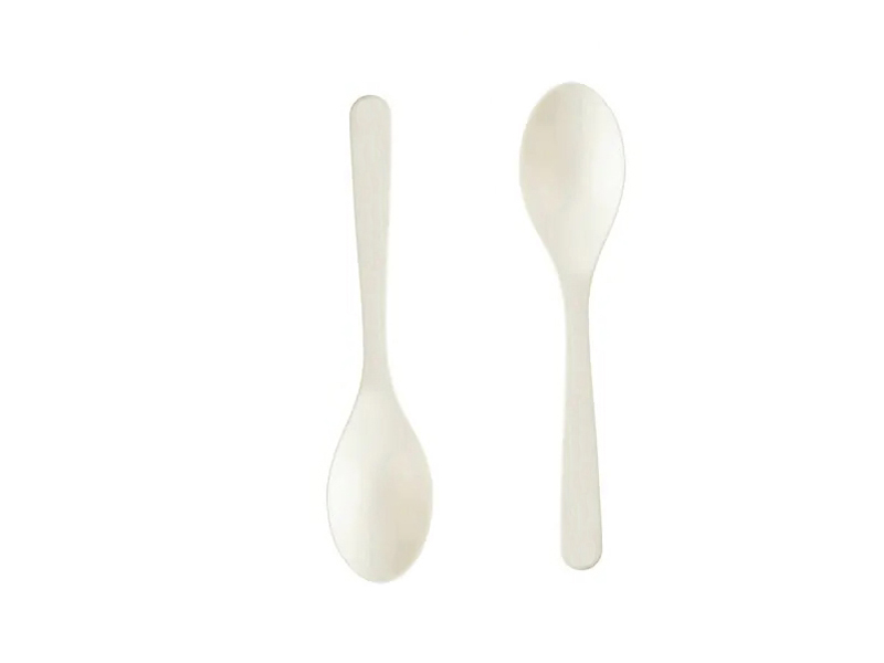 Biodegradable Spoon