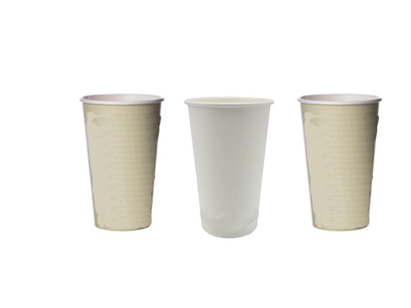 Biodegradable Cup