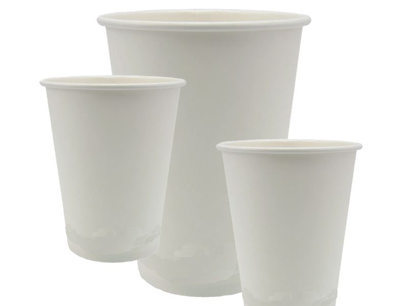 Biodegradable Cup