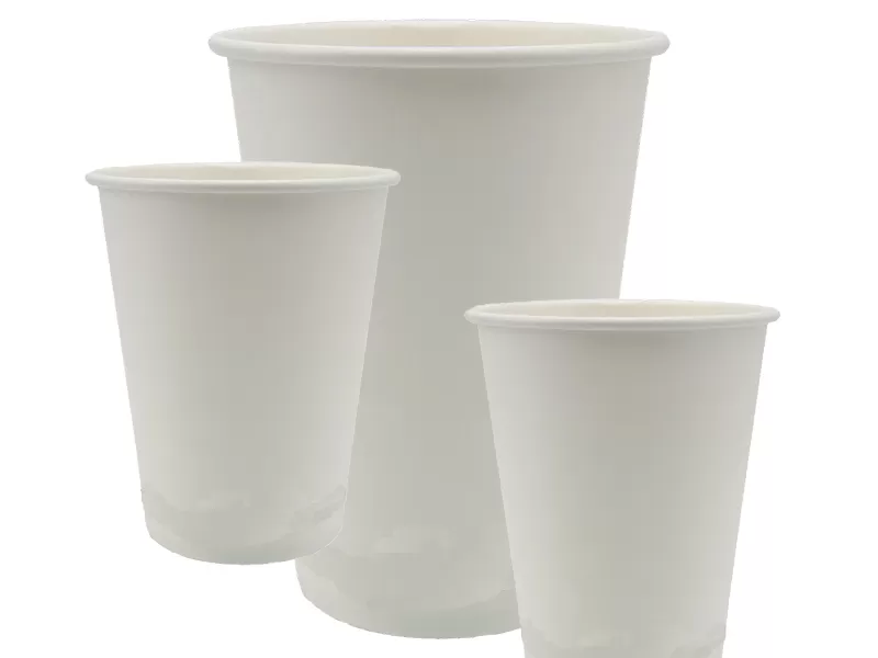 Biodegradable Cup