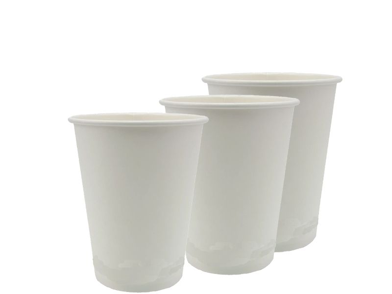 Biodegradable Cup