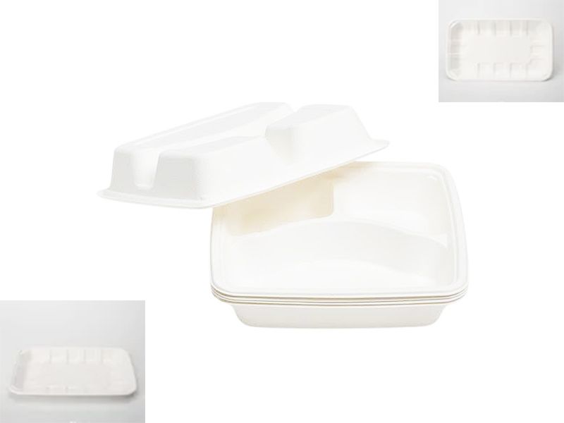 Biodegradable Food Tray