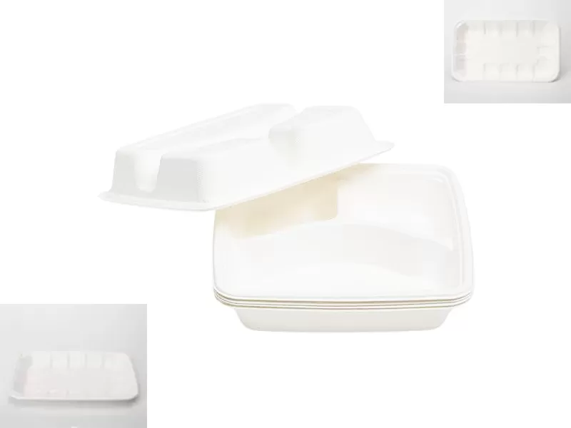 Biodegradable Food Tray