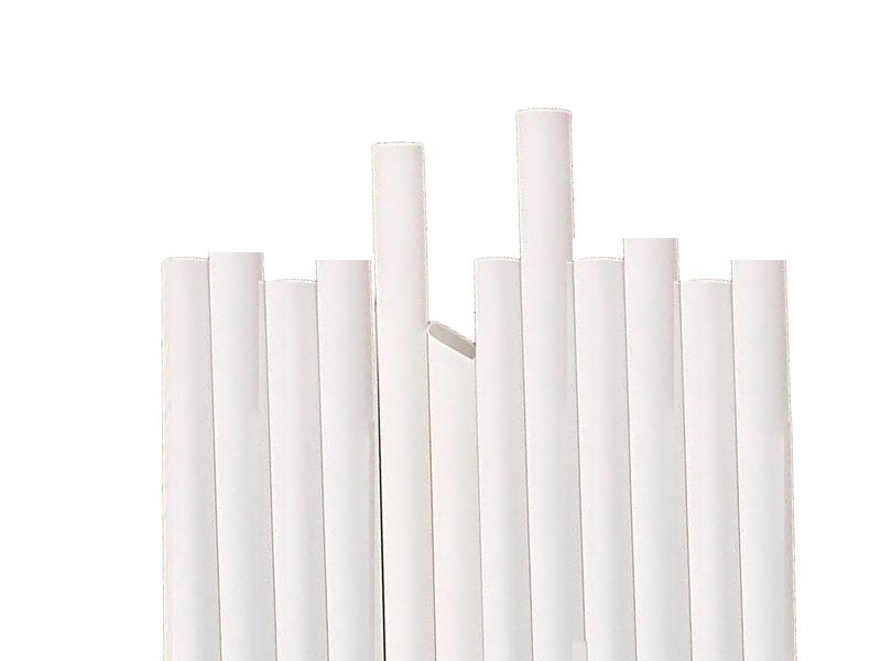 Biodegradable Drinking Straw