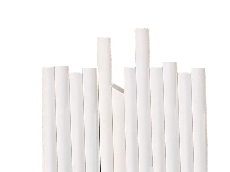 Biodegradable Drinking Straw