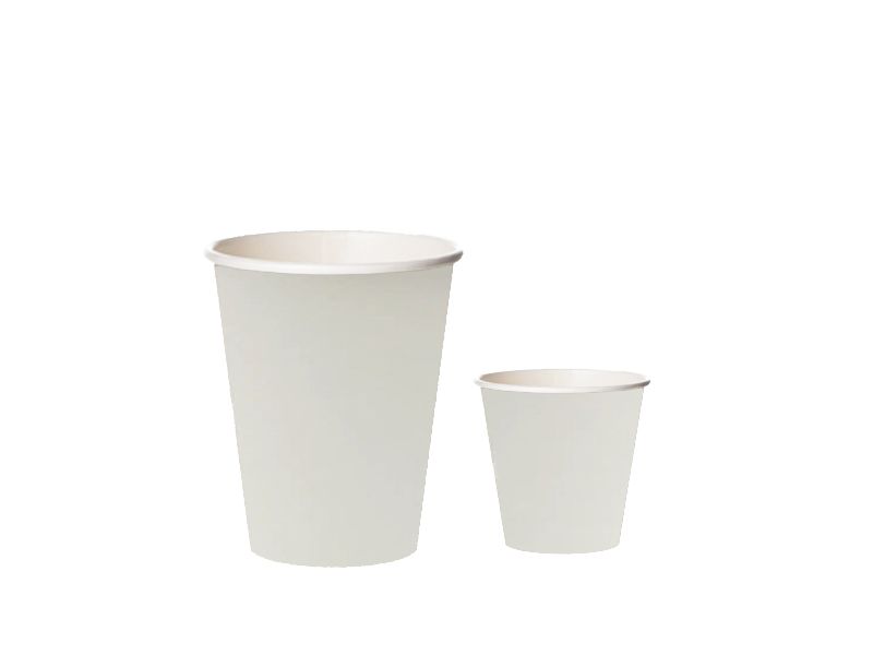 Biodegradable Cutlery
