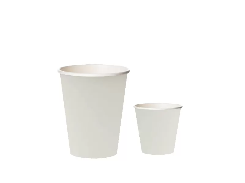 Biodegradable Cutlery