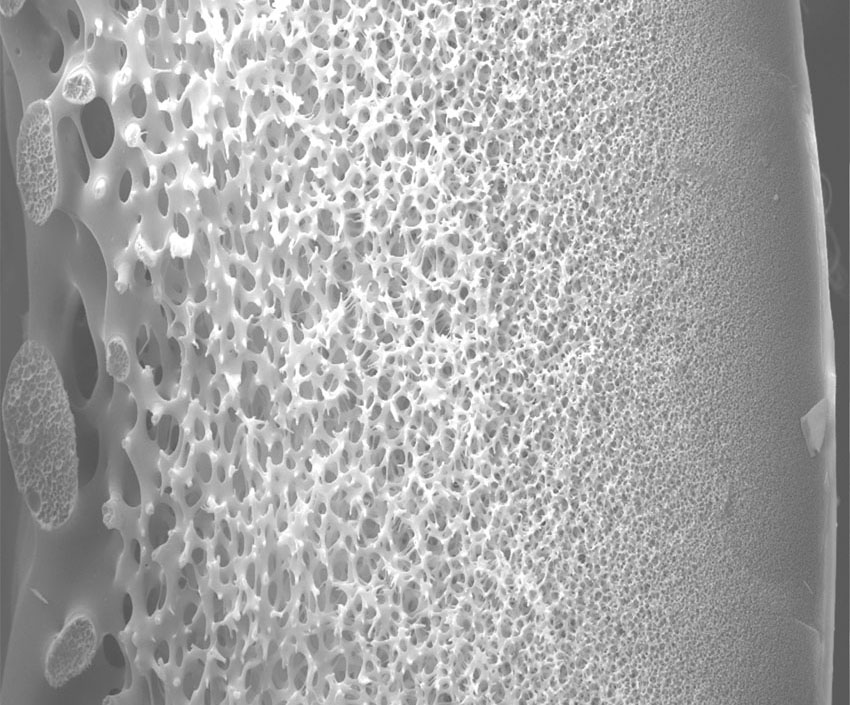 Hollow Fiber PES Ultrafiltration Membranes