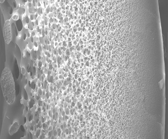 Hollow Fiber PES Ultrafiltration Membranes