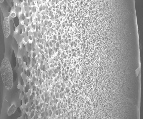 Hollow Fiber PES Ultrafiltration Membranes