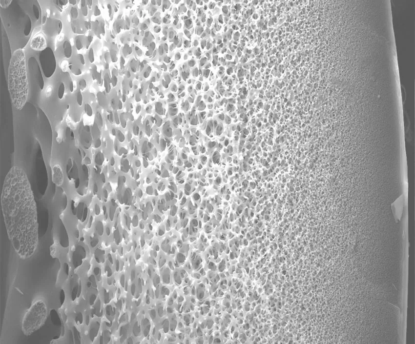 Hollow Fiber PVDF Ultrafiltration Membranes