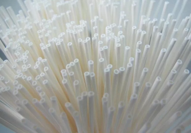 Filter Membrane