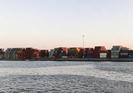 Ocean Freight Projection for May 2026: General Upward Trend Ocean Freight Projection for May 2026: General Upward Trend